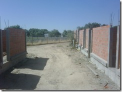 IMG00466-20110624-1023