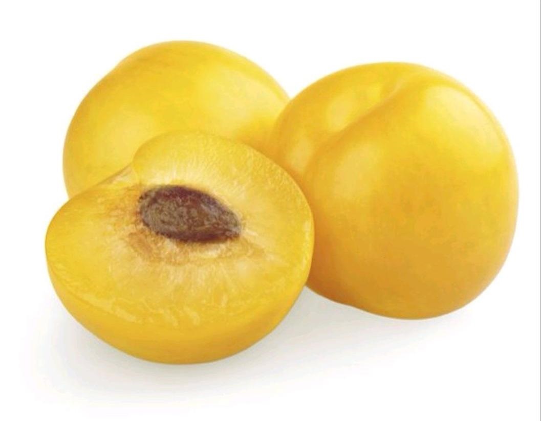 1 benih biji buah plum kuning Aceh