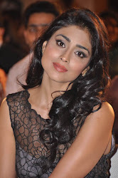 shriya saran hot sexy in life is beautiful black short transparent dress cross legs sitting sizzling hot masala looking