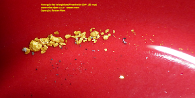 Goldprobe aus valanginischen Schichten – mikroskopisch dokumentiertes Naturgold aus der Unterkreide
