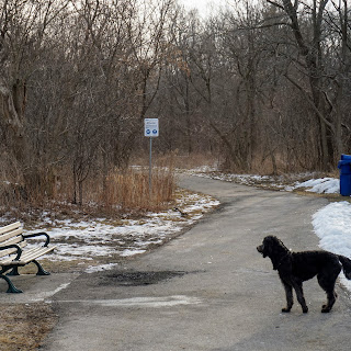 park bench on Betty Sutherland trail at the hwy 401 underpass where neighbours often meet to watch the don river toronto