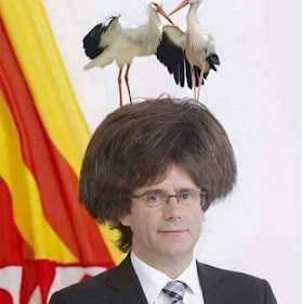 Carles Puigdemont ,cigonya, cigüeña, nido, niu