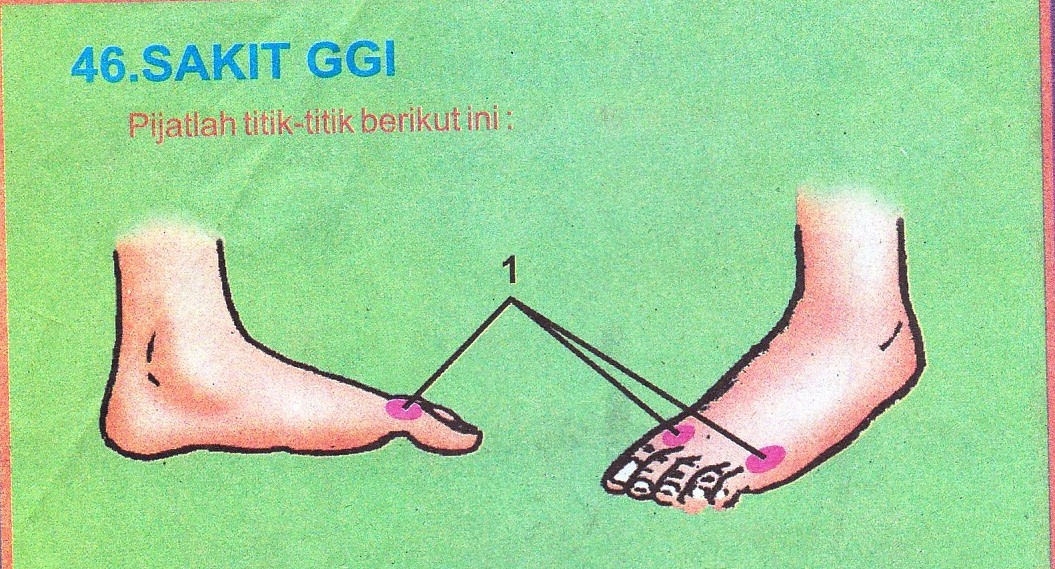 Pijat Refleksi Sakit Gigi  indomangga.web.id