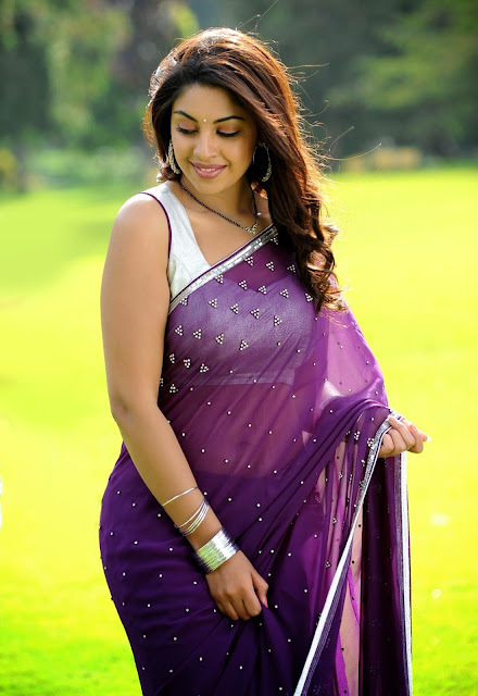 Top 10 Indian girls in Saree looking very hot