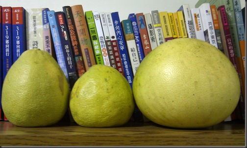 三劍柚
