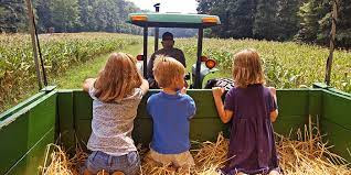 Kids on the farm