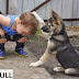 Funny Kid And Dog 