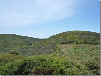 P1010395