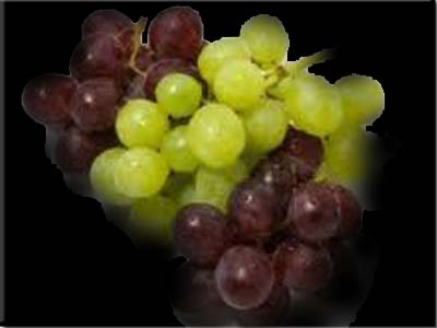  Anggur Manfaat Anggur Sebagai Antioksidan Gambar Hidup