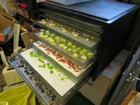 foods in a dehydrator