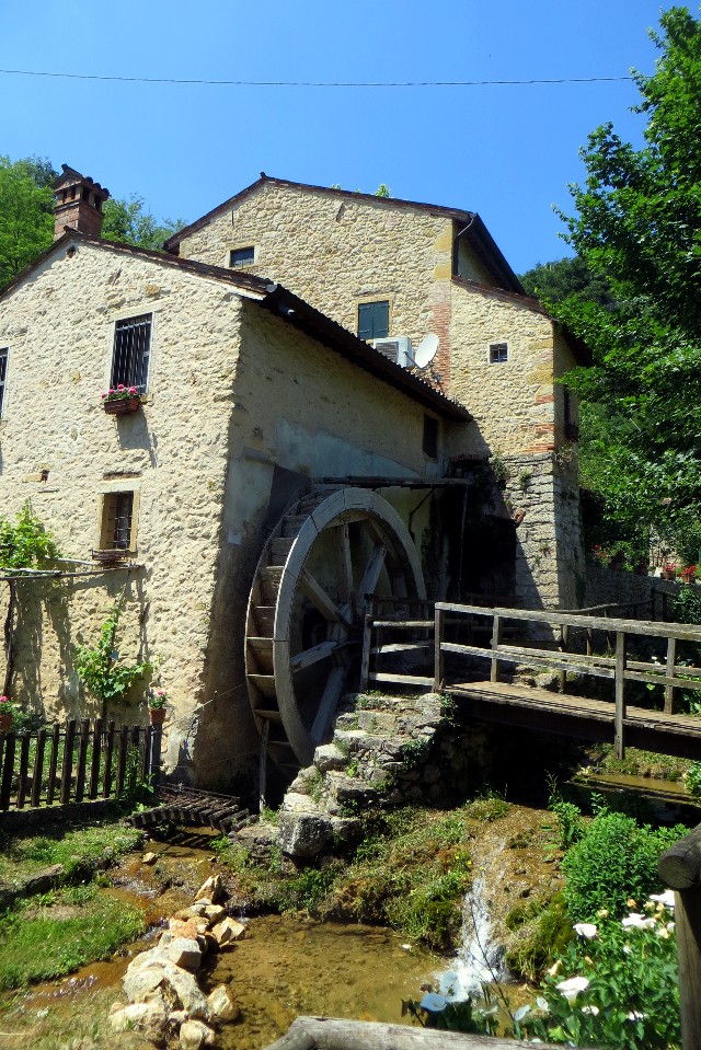 colli berici cosa vedere itinerari