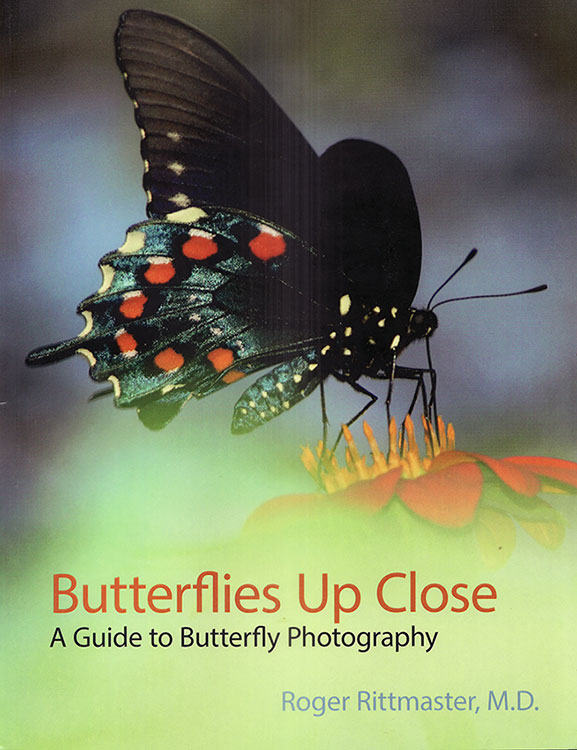 Butterflies Of Singapore Book Review Butterflies Up Close
