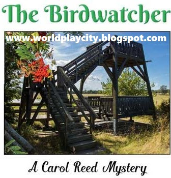Carol Reed 13 - The Birdwatcher PC Game Free Download Full Version