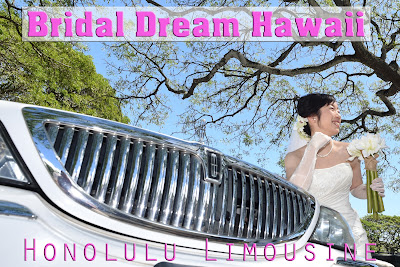 Honolulu Limousine