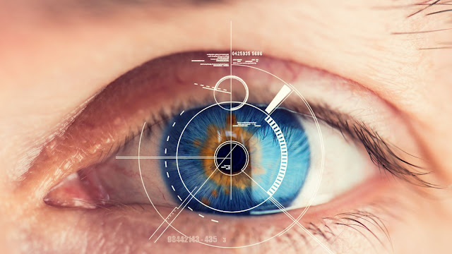 Iris Recognition Market