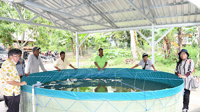 Pemkab Samosir Kembangkan Budidaya Ikan Sistim Bioflok