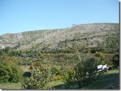 P1200097