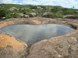 Tangue do Coração de Gameleira ( Bodó)