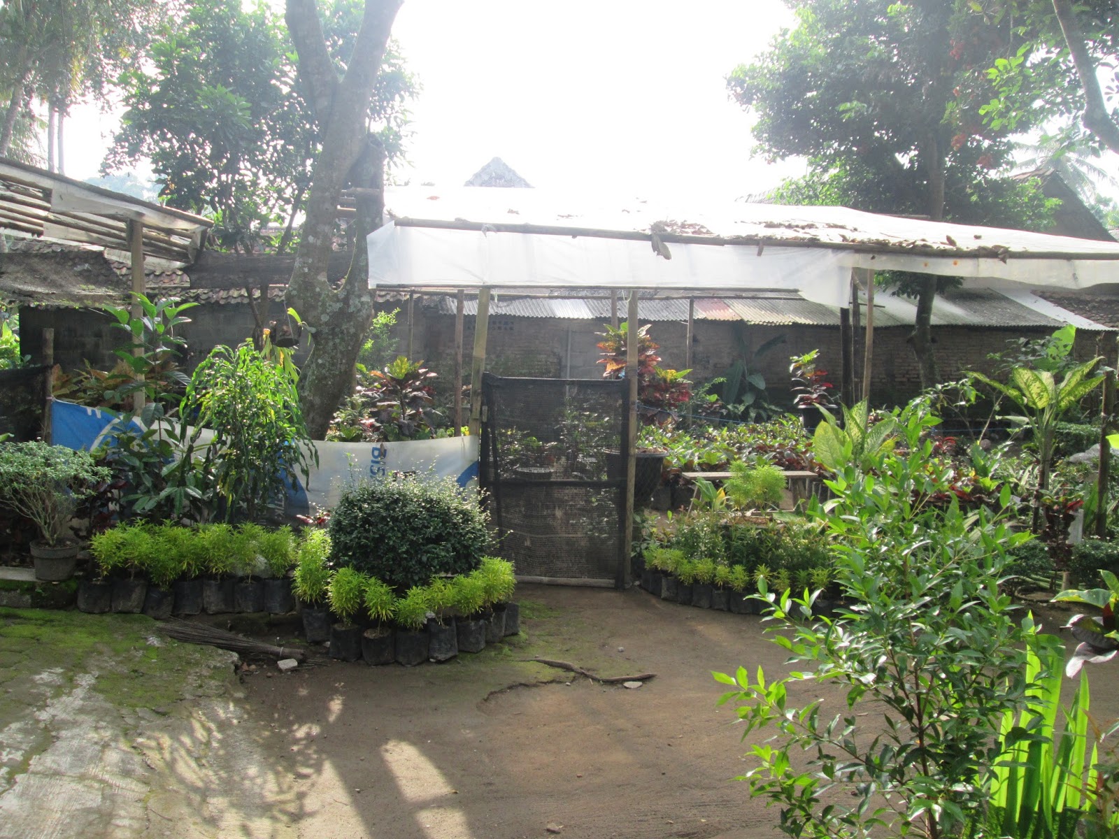 Kampung Flory Sleman, Desa Wisata Yang Lagi Ngehits di Jogja