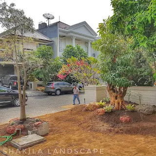 Tukang taman pacitan