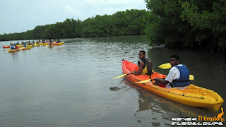 kayak guadeloupe