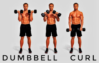 Dumbbell curl