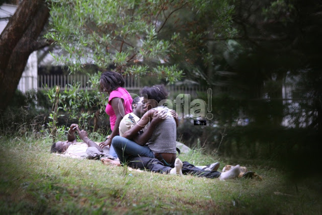 Nairobi's Arboretum become the new muliro Gardens..SEE ...
