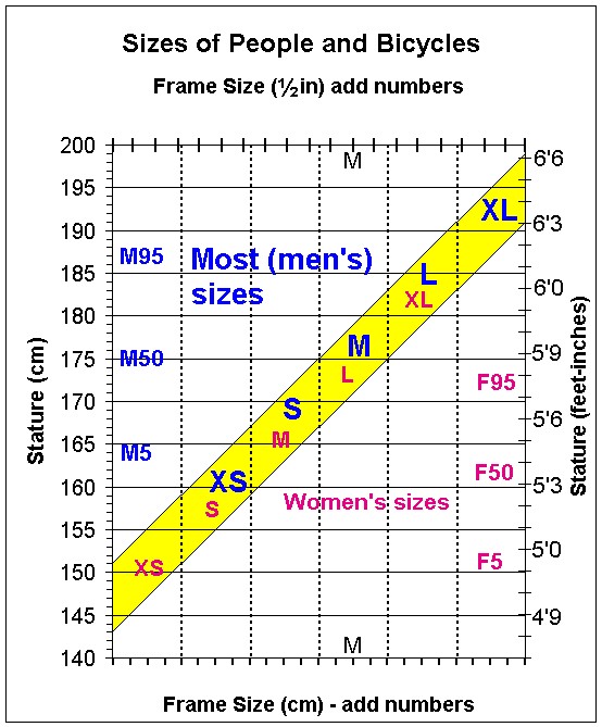 determining your ideal frame size bicycles come in different frame