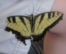 IMG_1901_edited-1