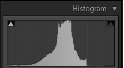 Mid Tone Graph Histogram