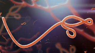 Las mujeres son más resistentes a la gripe, el ébola y otras enfermedades virales