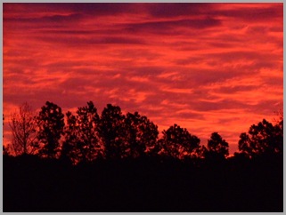 A Summer Sunset