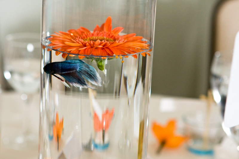 A fish centerpiece is a simple DIY project that will make both your wallet