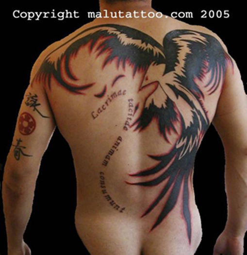 tribal phoenix tatoo images