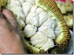 buah-terap2