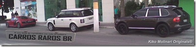 Raros e caros (1)[1]