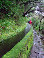 Levada walk