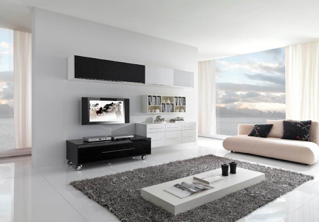 WONDERFULL BLACK AND WHITE INTERIOR DESIGNS