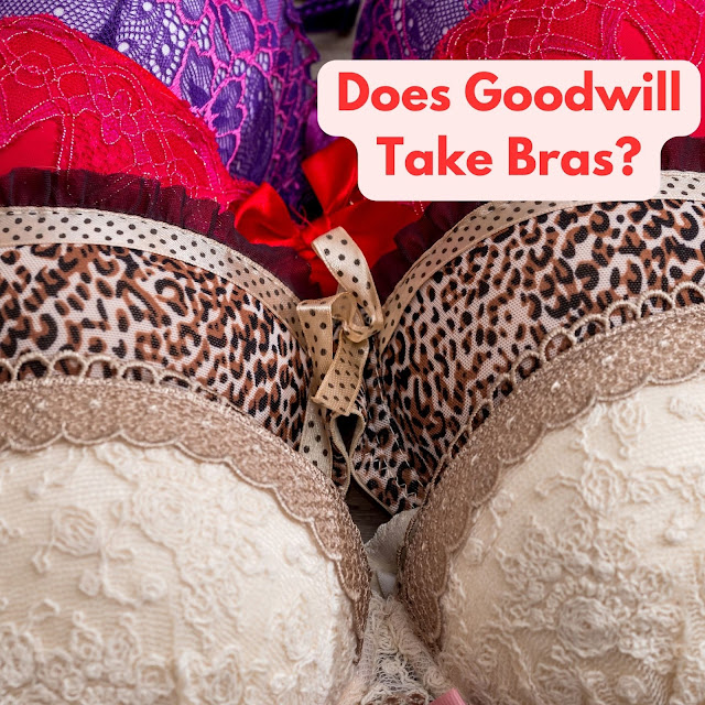 Does Goodwill Take Bras?