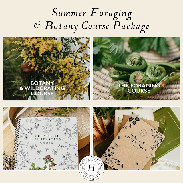 Upgrade your 2 courses with 3 companion books  Hurry to register. The Summer Foraging Bundle Deal runs only through June 20, 2021!