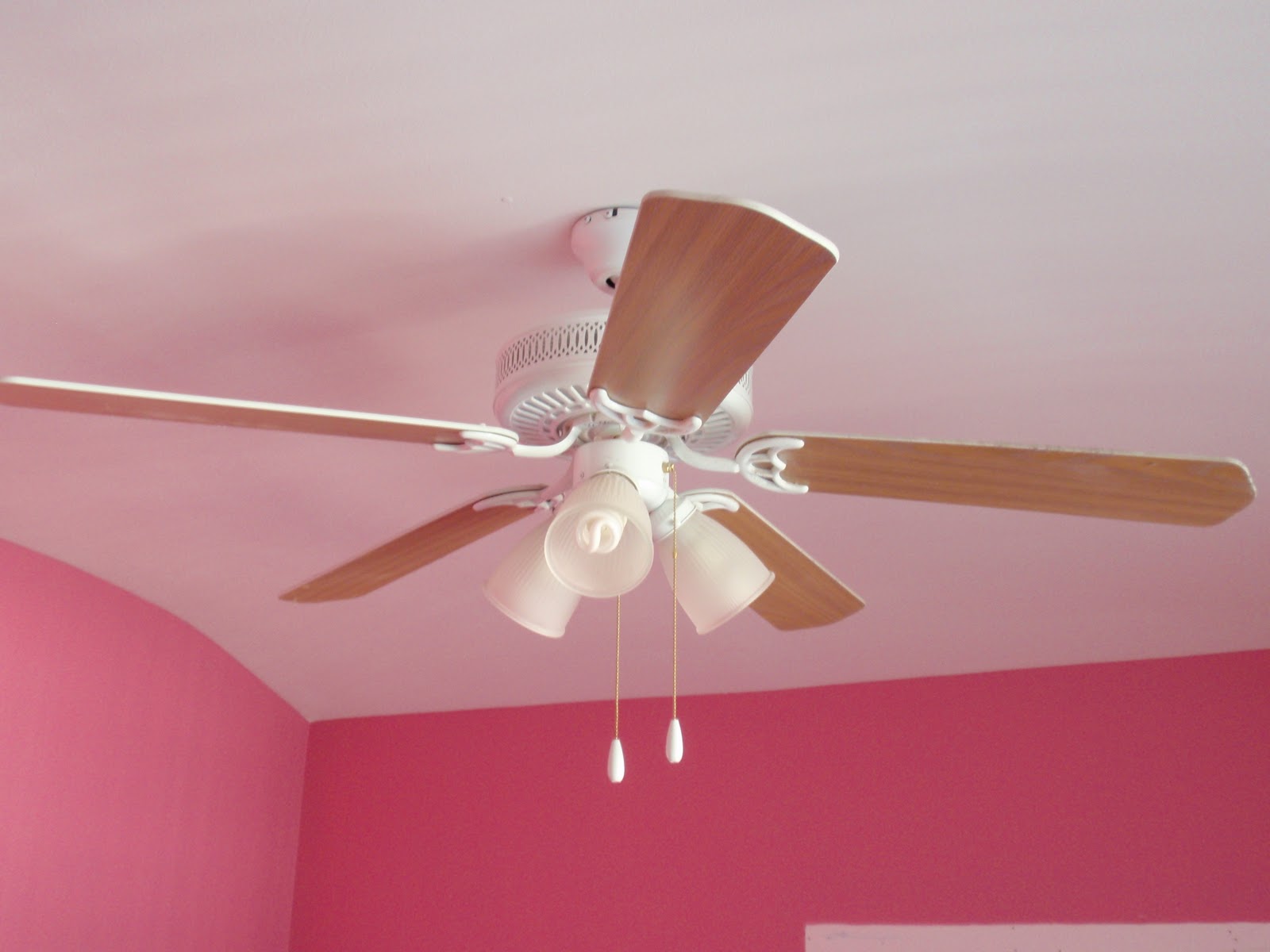 The ceiling fan in Lexi