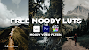 Free lut for premier pro | video colourgrading filter | pencilhub