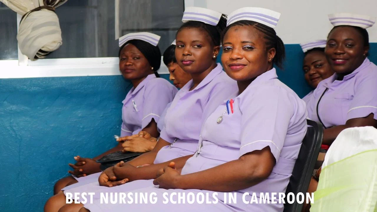 Top 10 Best Nursing Schools in Cameroon