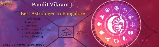 Best Astrologer In Bangalore, Vedic Astrologer In Jaya Nagar, astrologer in Marathahalli,