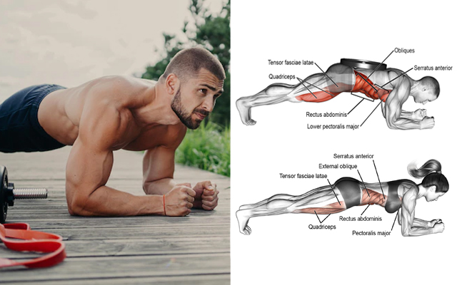 13 Things That Will Happen When You Do Planks Every Day