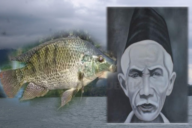 Ikan Mujair Ternyata Ditemukan Pertama Kali Oleh Pria Ini Loh