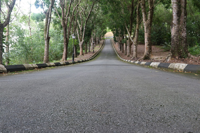 Jalan Menuju sektor 4 diatas bukit di Damai Beach Resort 