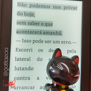 resenha-ebook