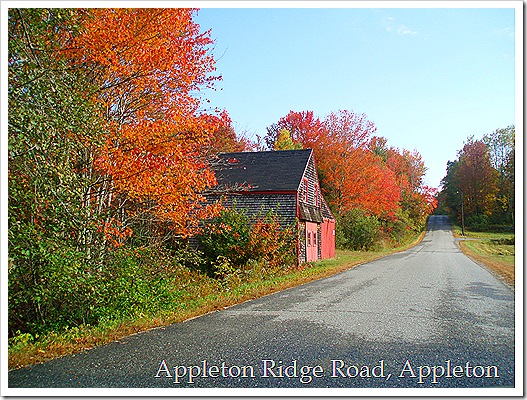 Fall Foliage 052