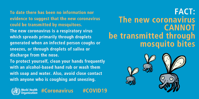 Mosquito Bites Transmit COVID-19